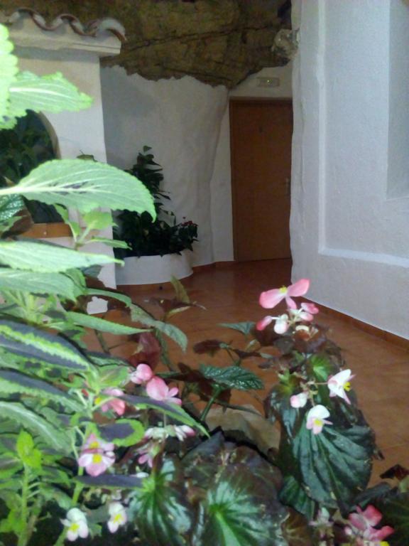 Hostal Batato 베예데라프론테라 외부 사진